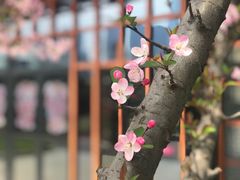 -秦皇岛路游船码头