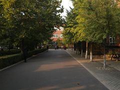 -北京市海淀外国语实验学校