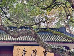 -灵隐飞来峰景区