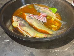 -肥鱼屯活鱼锅(惠工街店)