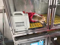 -阿荣24H宠物医院·综合型转诊中心·CT·核磁影像中心