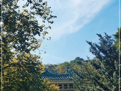 -广州市白云山风景名胜区