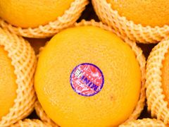 -西郊国际农产品交易中心