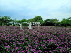 -广东花都香草世界旅游度假区