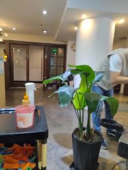 -MAGSTUDIO美格造型