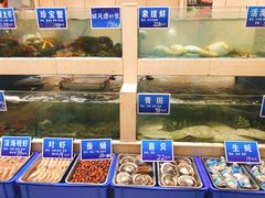 水产区-双井轩(双井店)