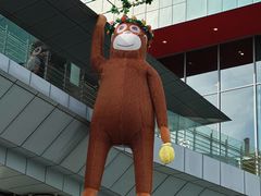 -武汉荟聚