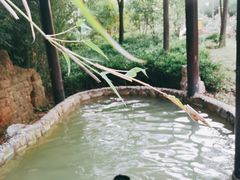 -山湖温泉