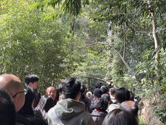 -雁荡山风景名胜区