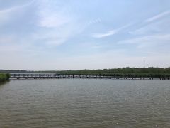 -西青郊野公园