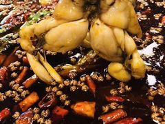 -麻辣巅峰美蛙鱼头火锅(犀浦店)