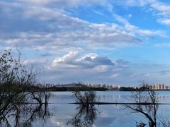 -贡湖湾湿地公园