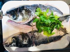 -蜀滋香鲜鱼美蛙火锅(339店)