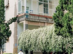 -四川大学(望江校区)