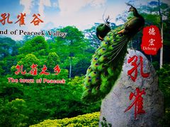 -德宏芒市国际机场