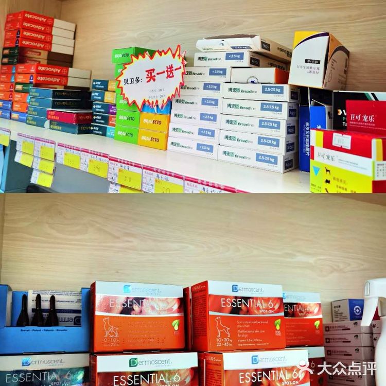 上海宠物医院推荐～为毛孩子寻找一家好口碑专业度高的医院