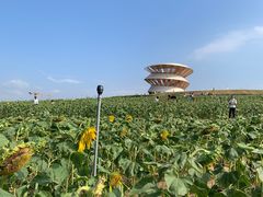 -光明小镇欢乐田园