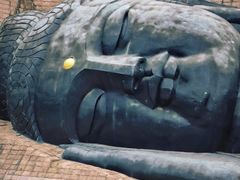 -三水森林公园