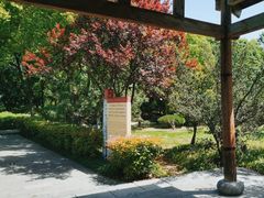 -合肥三国新城遗址公园