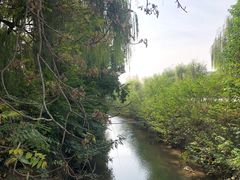 -洛阳市隋唐城遗址植物园