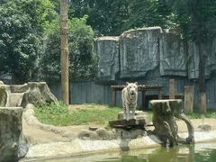 -常州淹城野生动物世界