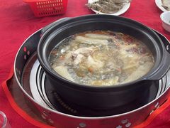 -花苑美食横琴生蚝火锅(拱北粤华路店)