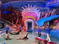 -烟台海昌鲸鲨海洋公园