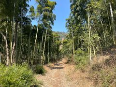 -东明山森林公园