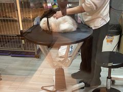 -悠尼宠物·独立低压伊珊娜洗护·美容·寄养(兰谷路店)