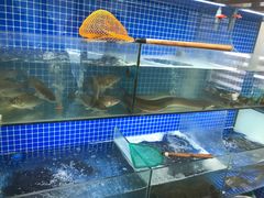 -小本鸡饭店(滨江白马湖店)