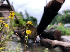 -白鹭原茶艺馆