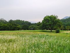 -福建鲤鱼洲酒店