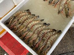 -江杨农产品批发市场