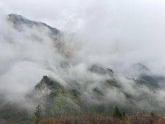 -鹿院坪生态旅游景区