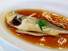 -子福慧(虹桥店)