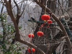 -幕燕滨江·燕子矶公园