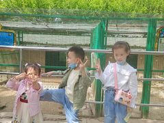 -宿豫区运河湾森林动物园