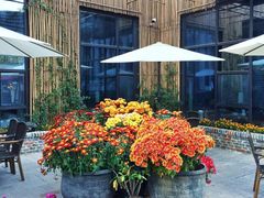 -瓦库茶馆17号(海汇港店)