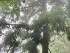 -东天目山风景区