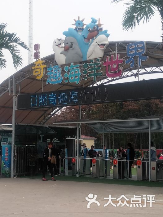 日照奇趣海洋世界图片 第3张