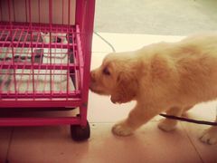 -山东柏宁水族批发广场