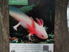 -青青世界