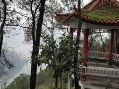-铁山坪森林公园