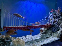 -太平洋海底世界