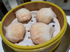 龙凤虾饺皇-香港龙凤楼(巨鹿路洋房店)