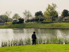 -尚贤河湿地