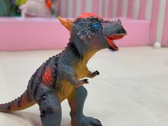 -长风源·寻衢味(20年老店)