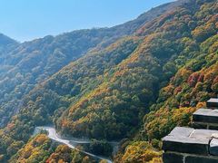 -白草畔自然风景区