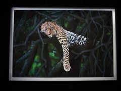 -罗红摄影艺术馆