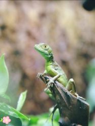 -酷嗒动物文化乐园(cutezoo西溪乐天城店)